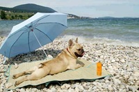 Beach sun bath